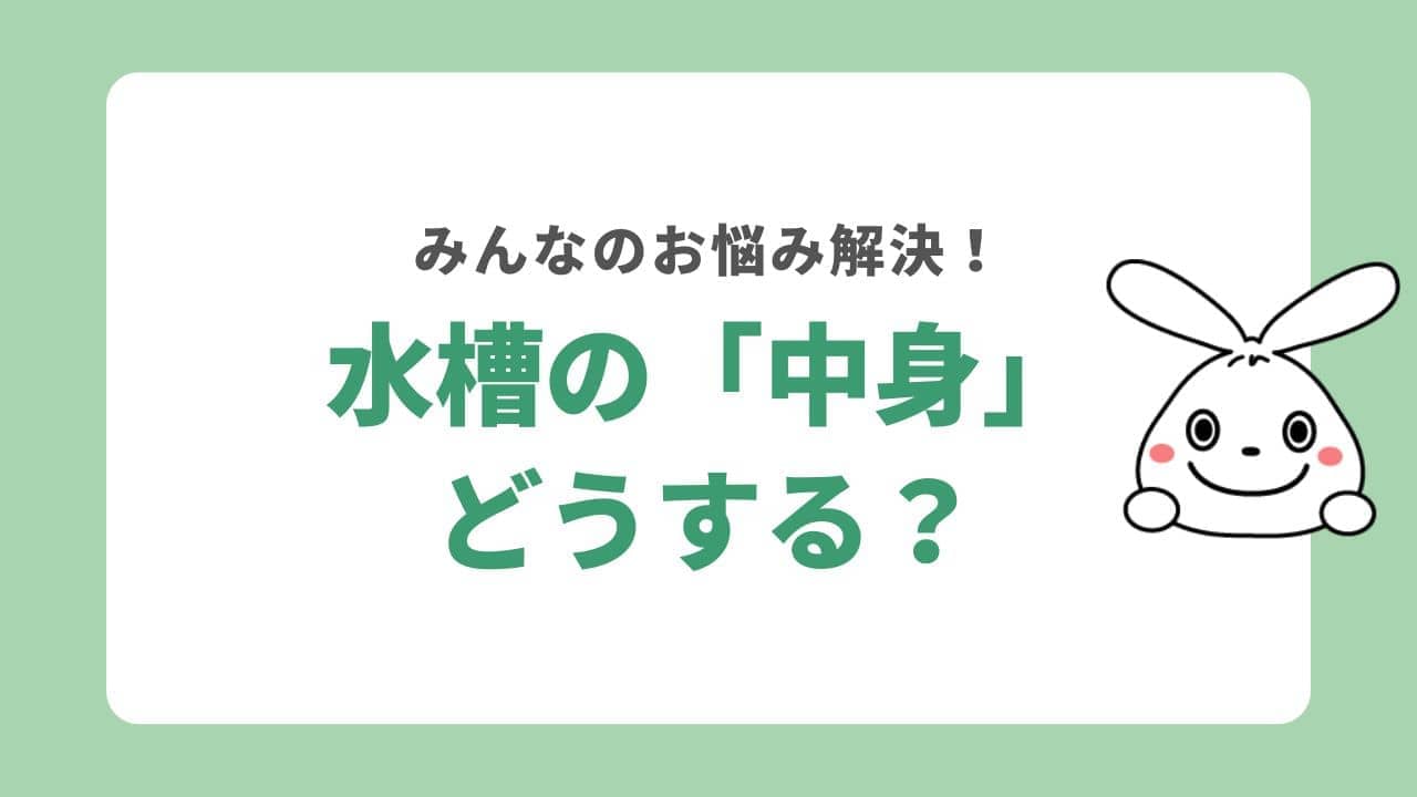 水槽の処分でみんなが悩む疑問を解決